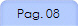 Pag. 08