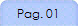Pag. 01