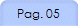 Pag. 05